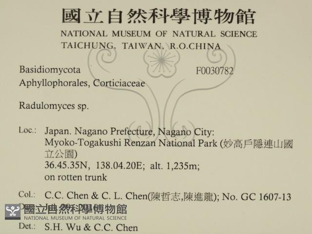 登錄號:F0030782藏品圖，第2張