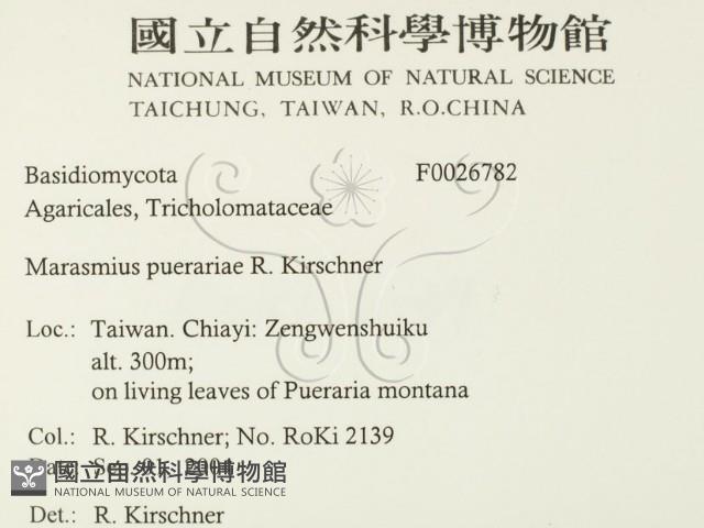 登錄號:F0026782藏品圖，第2張