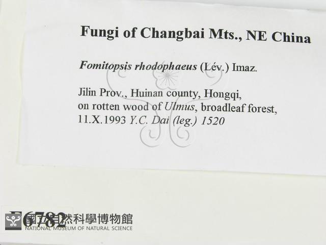 登錄號:F0006782藏品圖，第2張