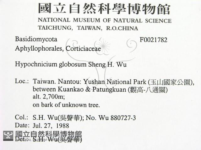登錄號:F0021782藏品圖，第2張