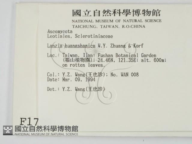登錄號:F0001782藏品圖，第2張