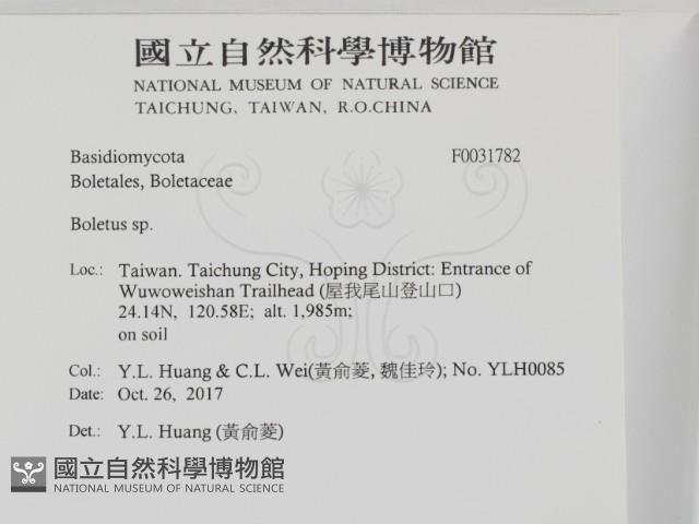 登錄號:F0031782藏品圖，第2張