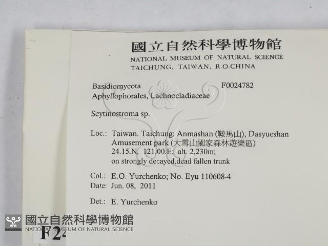 登錄號:F0024782藏品圖，第2張