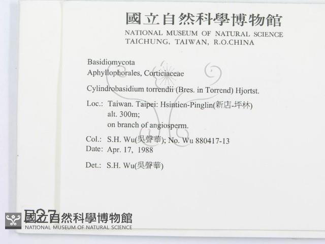 登錄號:F0002782藏品圖，第2張