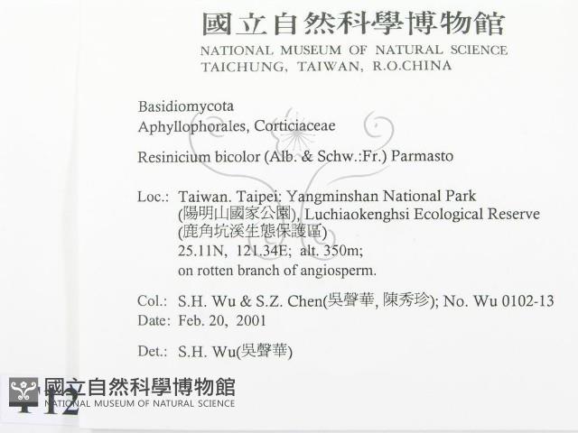 登錄號:F0012782藏品圖，第2張