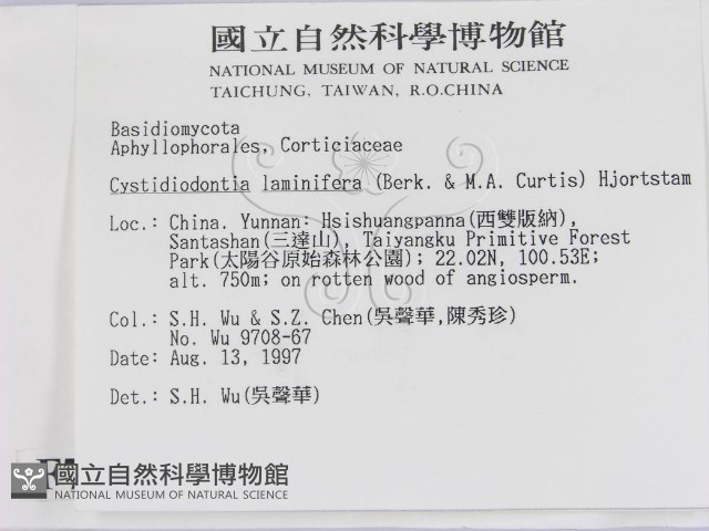 登錄號:F0007782藏品圖，第2張
