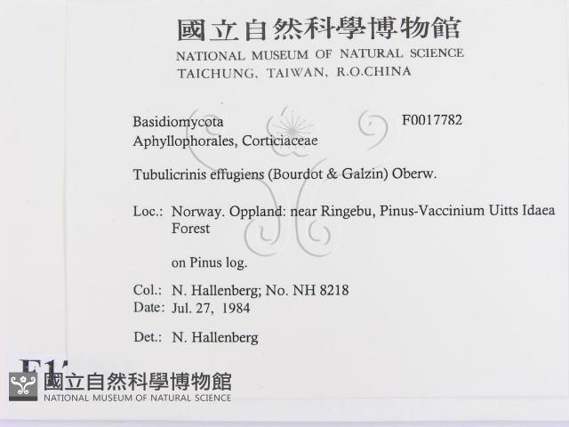 登錄號:F0017782藏品圖，第2張