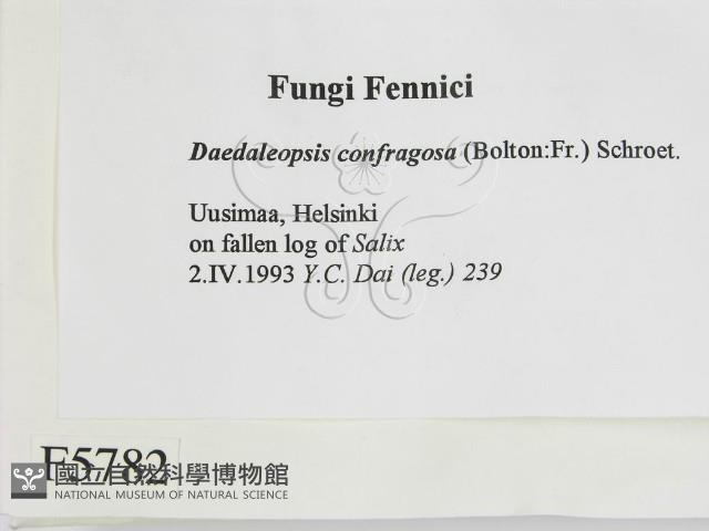 登錄號:F0005782藏品圖，第2張