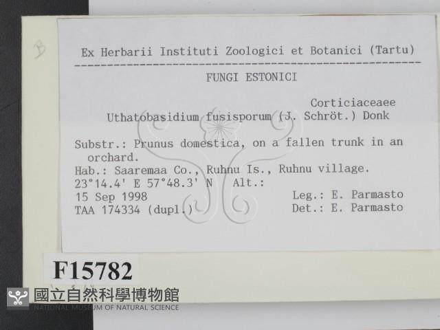 登錄號:F0015782藏品圖，第2張