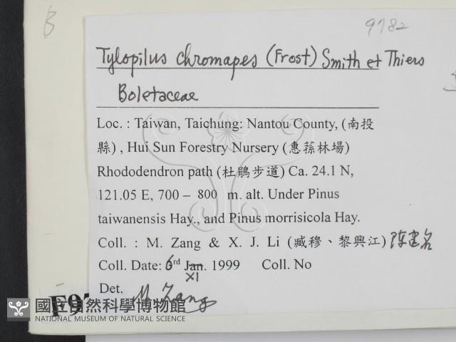 登錄號:F0009782藏品圖，第2張