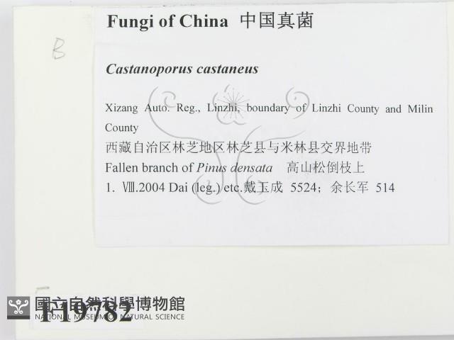 登錄號:F0019782藏品圖，第2張