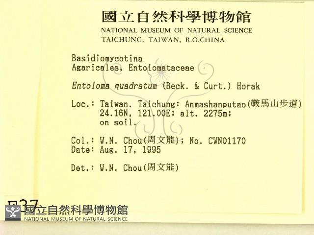 登錄號:F0003782藏品圖，第2張