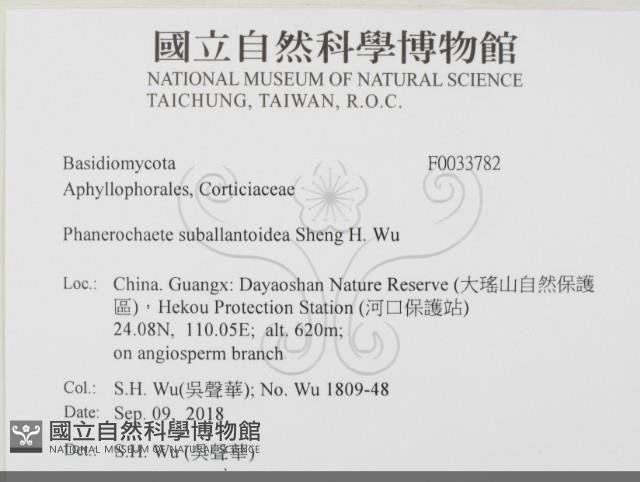 登錄號:F0033782藏品圖，第2張