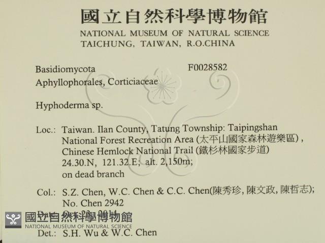 絲皮菌屬藏品圖，第2張