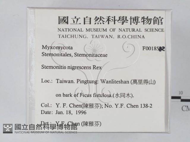 登錄號:F0018582藏品圖，第2張