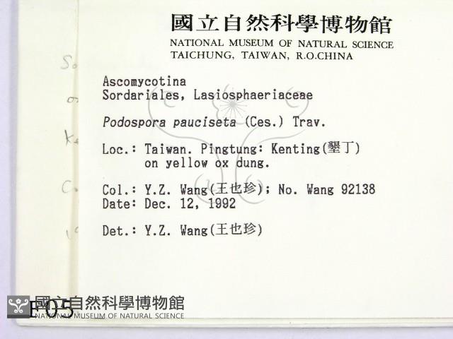 登錄號:F0000582藏品圖，第2張