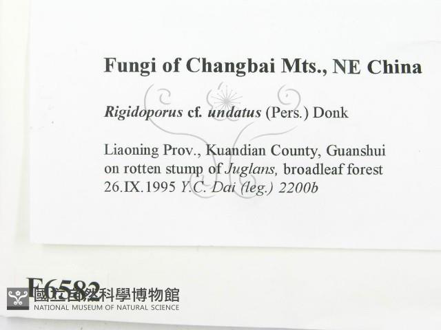 登錄號:F0006582藏品圖，第2張