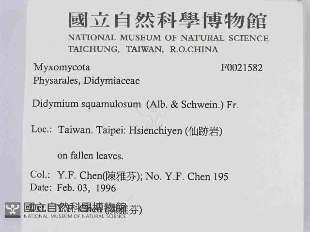 登錄號:F0021582藏品圖，第2張