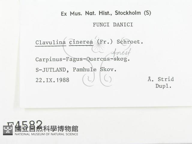 登錄號:F0004582藏品圖，第2張