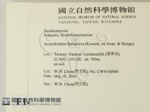 登錄號:F0014582藏品圖，第2張