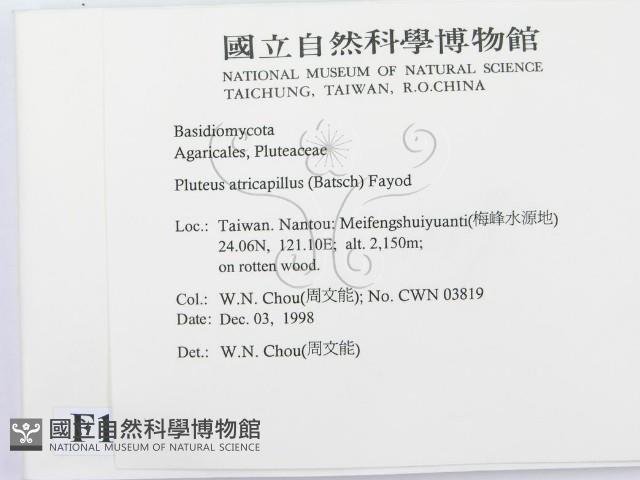 登錄號:F0012582藏品圖，第2張