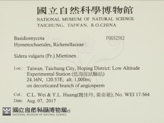 登錄號:F0032582藏品圖，第2張