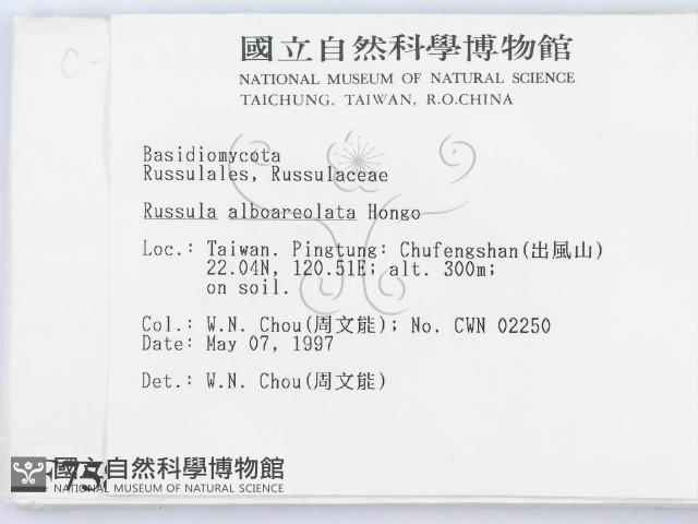 登錄號:F0007582藏品圖，第2張