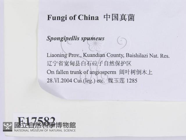 登錄號:F0017582藏品圖，第2張