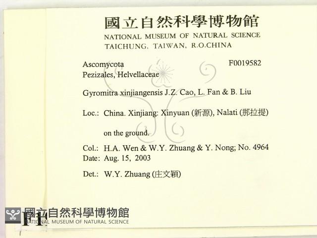 登錄號:F0019582藏品圖，第2張