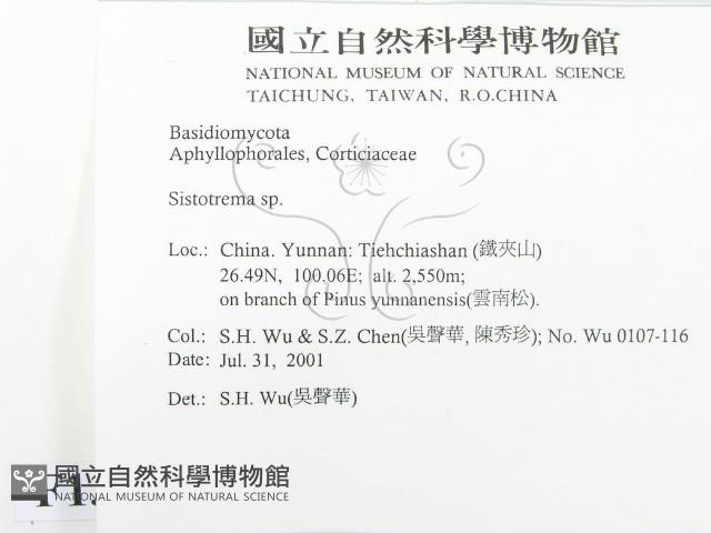 登錄號:F0013582藏品圖，第2張