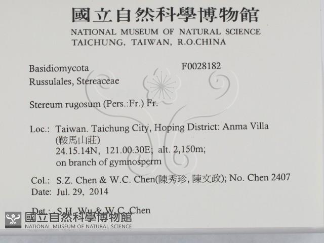 登錄號:F0028182藏品圖，第2張