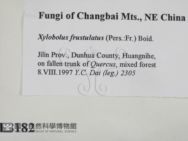 登錄號:F0008182藏品圖，第2張