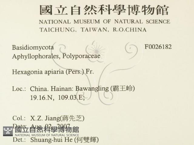 登錄號:F0026182藏品圖，第2張