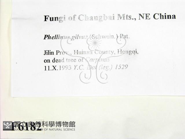 登錄號:F0006182藏品圖，第2張