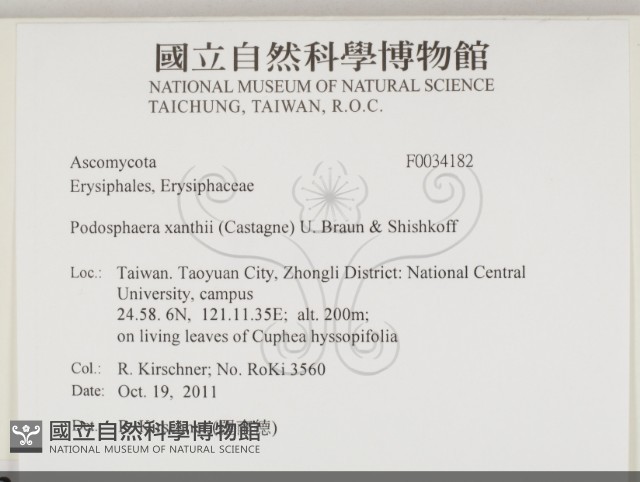 登錄號:F0034182藏品圖，第2張