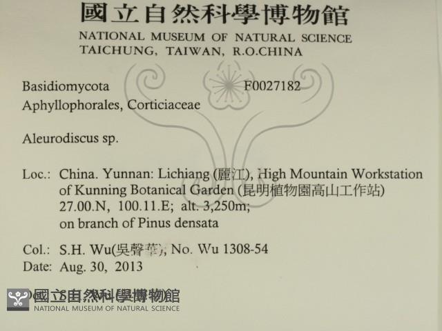 登錄號:F0027182藏品圖，第2張