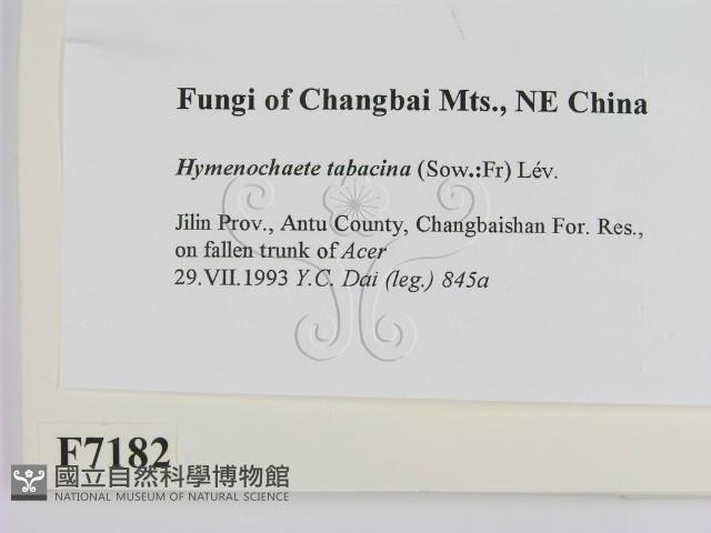 登錄號:F0007182藏品圖，第2張