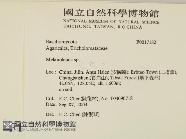 登錄號:F0017182藏品圖，第2張