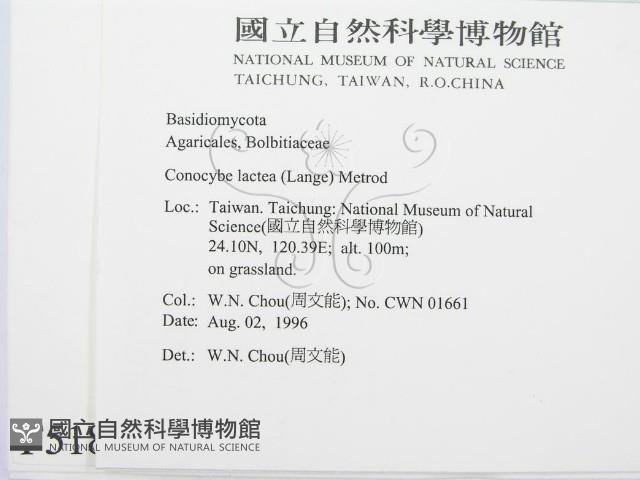 登錄號:F0005182藏品圖，第2張