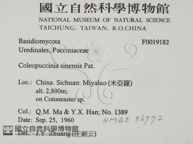 登錄號:F0019182藏品圖，第2張