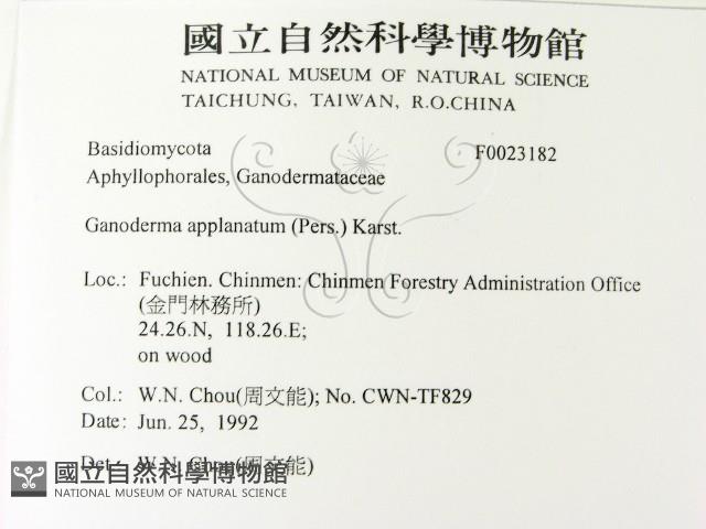 登錄號:F0023182藏品圖，第2張