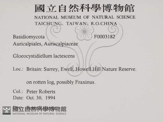 登錄號:F0003182藏品圖，第2張