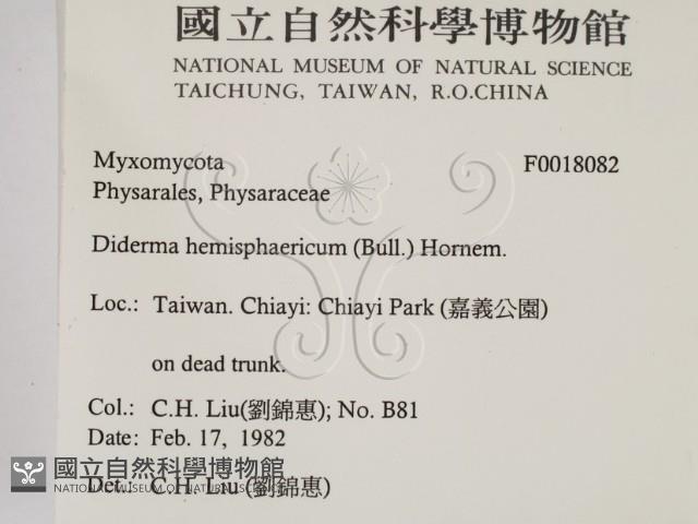 館號:F0018082藏品圖，第2張