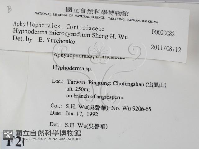 登錄號:F0020082藏品圖，第2張