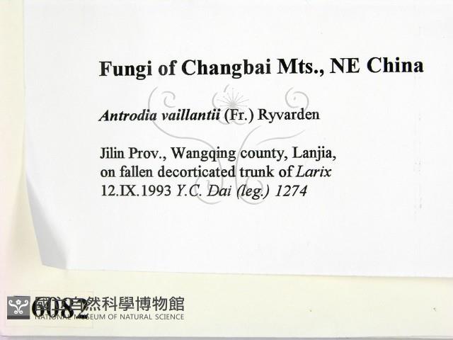 登錄號:F0006082藏品圖，第2張