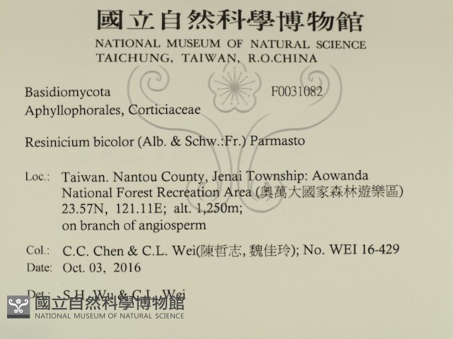 登錄號:F0031082藏品圖，第2張