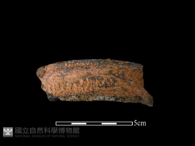 陶罐藏品圖，第2張