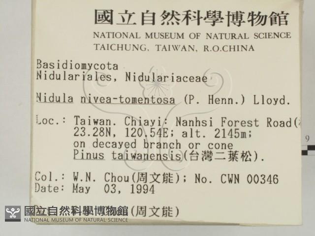 登錄號:F0002082藏品圖，第2張