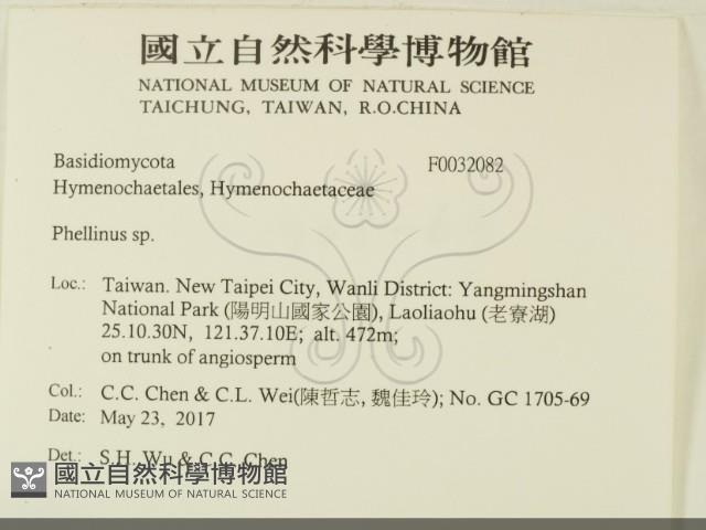 登錄號:F0032082藏品圖，第2張