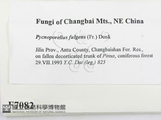 登錄號:F0007082藏品圖，第2張